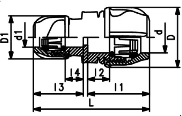  Pic2