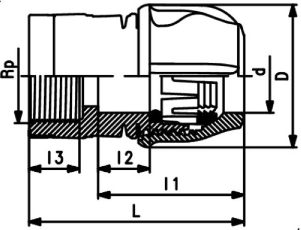  Pic2